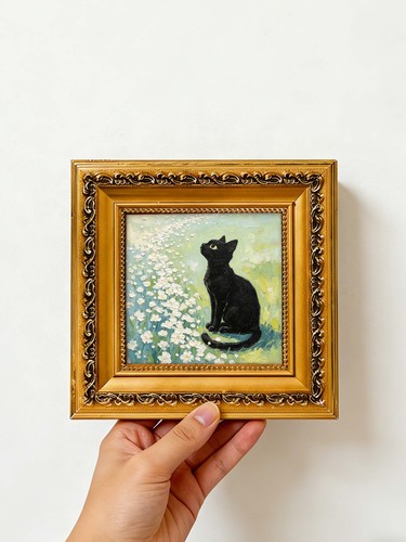 Black cat daisy flower - daisy,