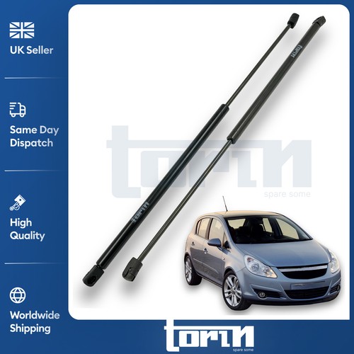 Rear tailgate boot struts - tailgate,