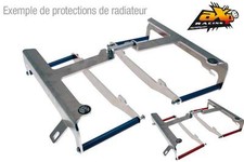 Radiator protection blue
