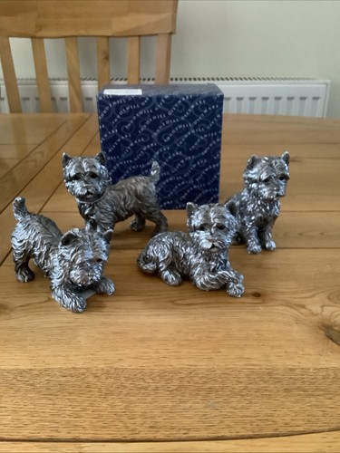 Westie shudehill 4 - x,