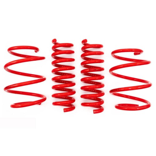 Maxx lowering springs for - lowering,