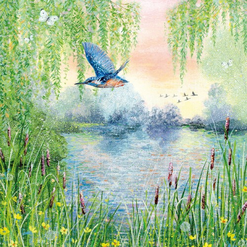 Coast and country - -, kingfisher