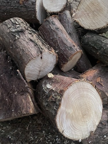Half ton bag logs - ton,