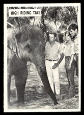 1966 Philadelphia Daktari #49