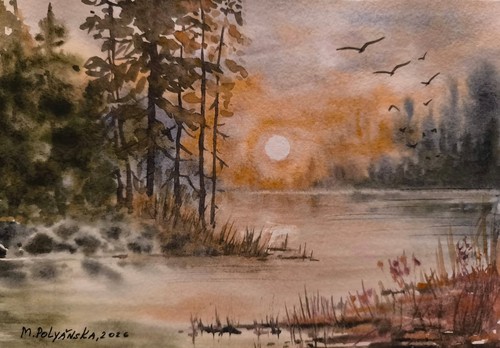 Duck flying foggy forest - foggy,