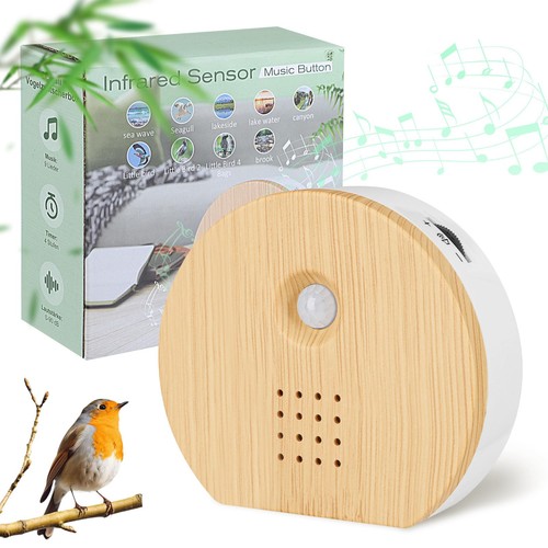 Singing bird box - singing,