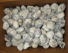 UTAH DUGWAY CRYSTAL GEODES