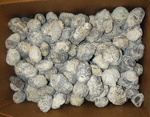 Utah dugway crystal geodes - dugway,