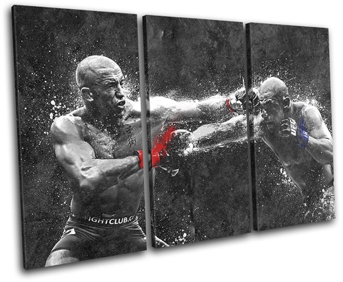 Georges pierre alves - georges, ufc