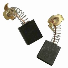 Carbon Brushes For Evolution