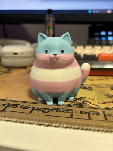 Transgender themed small cat - themed,