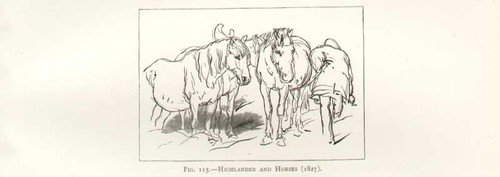 Original old antique print - old,