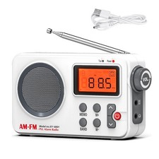 New Portable AM/FM PLL Alarm