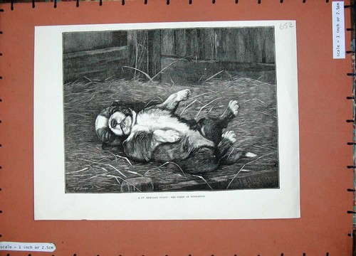 Original old antique print - original,