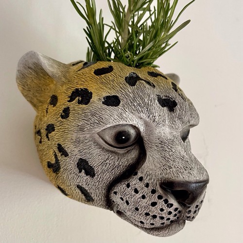 Kitsch retro animal leopard - retro,