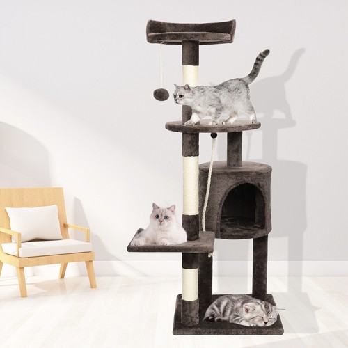 Large tall cat - large,