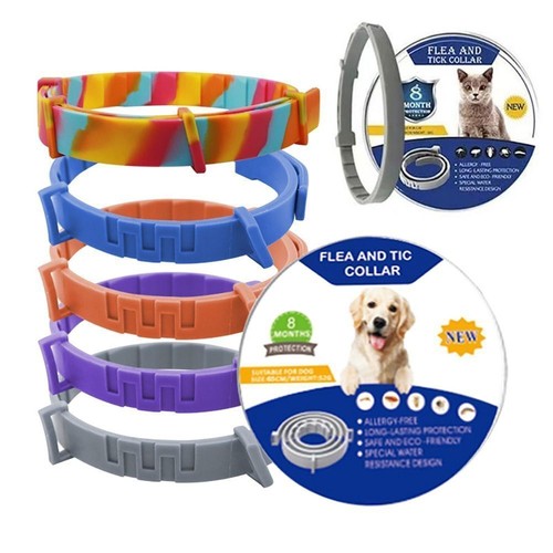 Month protection pet flea - pet,