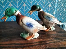 Vintage Mallard Duck Drake