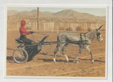 DONKEY Horse CARD NOT A