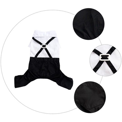 Pet formal wear - formal,