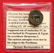 Rare Seleucid Alexander I Elephant 145BC Genuine Greek Coin & Coin Wallet