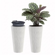 Tall Wavy Plant Pots with