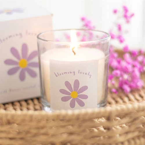 Blooming lovely daisy - blooming,
