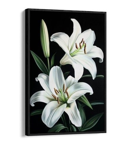 Two beautiful lily flowers - two,