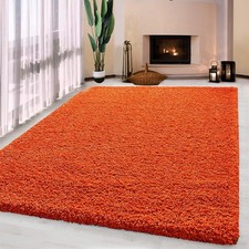 Thick Large Shaggy Rugs Non