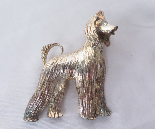 Afghan hound dog - dog, silver