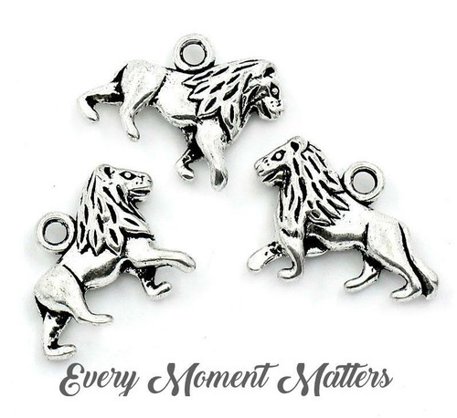 Tibetan silver lion witch - x,