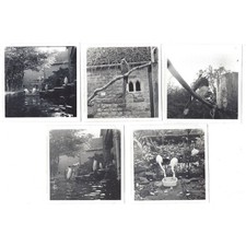 BOURTON ON THE WATER Scenes at Birdland Wildlife Park - 5x Vintage Photos 1963