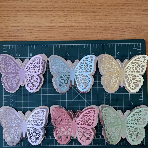 Extra large butterfly - butterfly, cuts