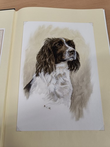 Nigel hemming dog tales book - dog,