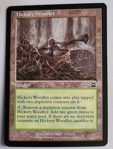 Hickory woodlot mercadian - hickory,