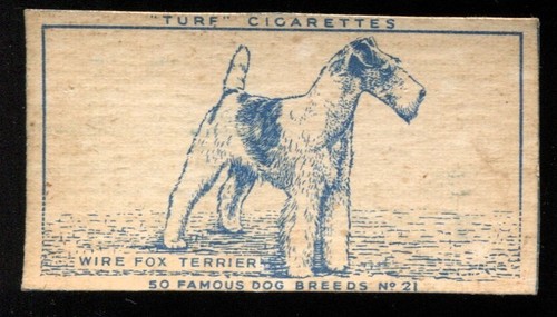 Tobacco card carreras turf - card,,