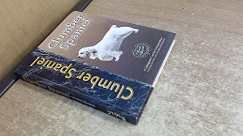 Clumber spaniel by - spaniel, (pet