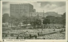 Norwich Cattle Market 1907