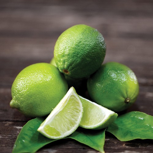 Lime plant fruit - lime, half-hardy