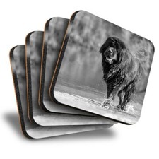 Set of 4 Square Coasters - BW