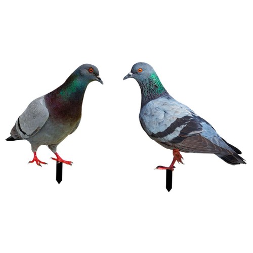 Pigeon statues garden - 2x,