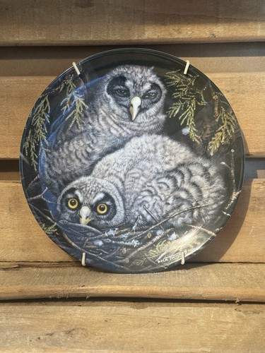 Wedgwood owls design - wedgwood, china