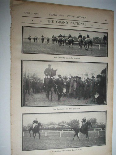 1902 shannon lass grand - shannon,