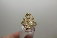 COLEMAN CO. 10k Black Hills