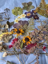 Homegrown Pressed Flowers &