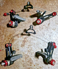 Avid Ultimate Shorty