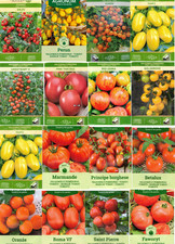 100 packets Heirloom TOMATO