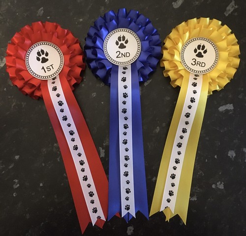 Tier 1st 3rd dog - ,