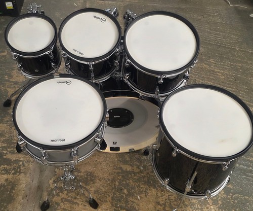 Pearl export 2025 electronic - pearl,
