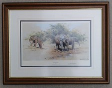 DAVID SHEPHERD - KILAGUNI BABIES (ELEPHANTS) - FRAMED & SIGNED PRINT - 575/1000 